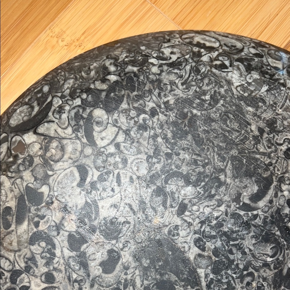 AMMONITE PLATE - Picture 9 of 10